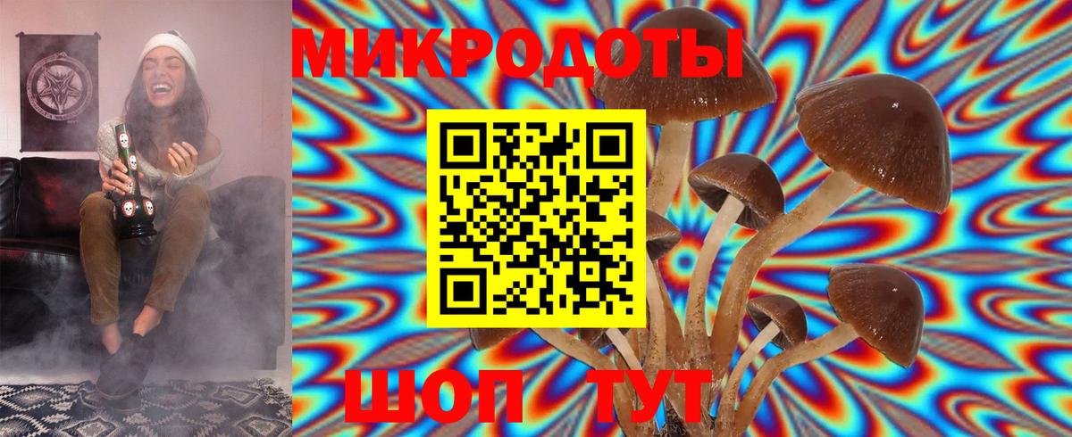 Галлюциногенные грибы GOLDEN TEACHER  Галлюциногенные грибы Cubensis  Вход с VPN  Новокуйбышевск 