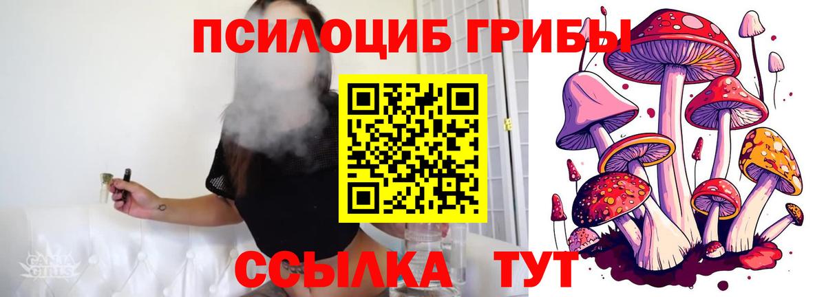 Галлюциногенные грибы прущие грибы Новокуйбышевск